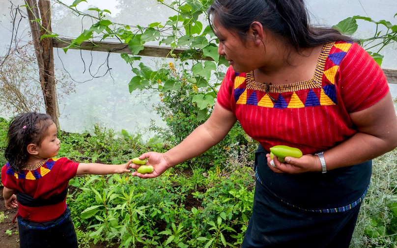 Mehr als Kalorien in Guatemala